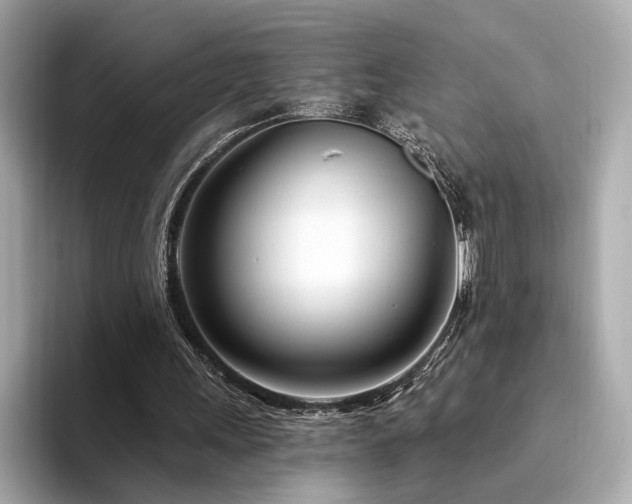 X0000094330243200711021415