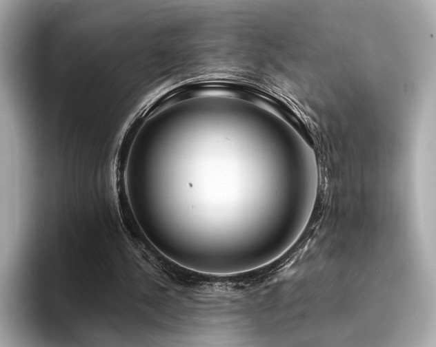 X0000094330244200711021415