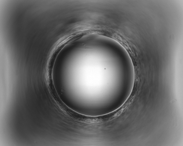 X0000094330245200711021415