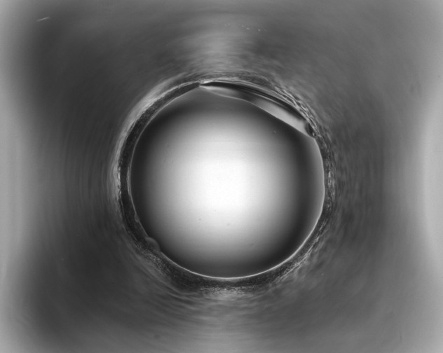 X0000094330246200711021415