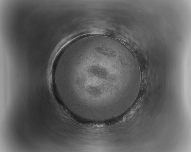 X0000094330247200711021415
