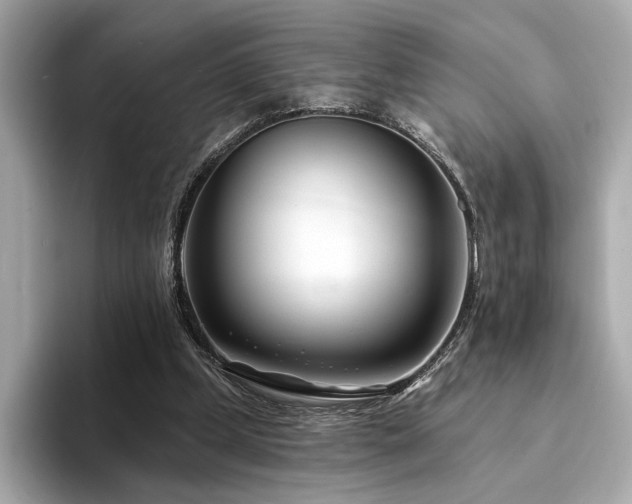 X0000094330249200711021415