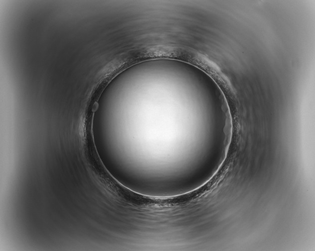 X0000094330250200711021415