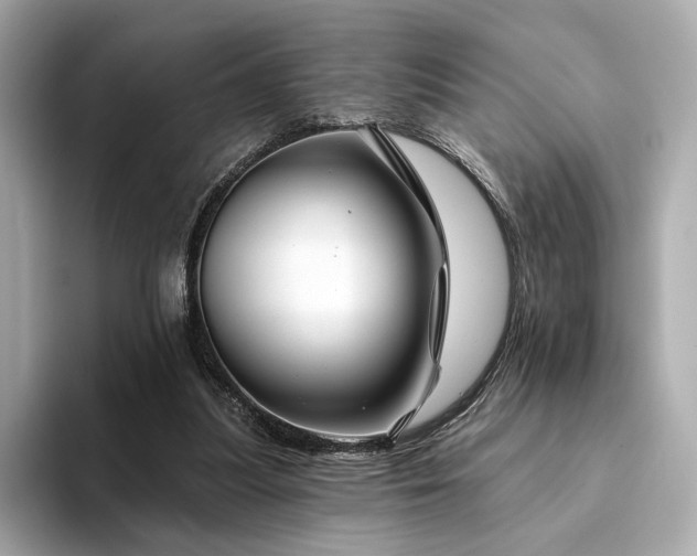 X0000094330251200711021415
