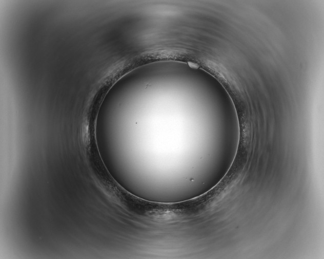 X0000094330254200711021415