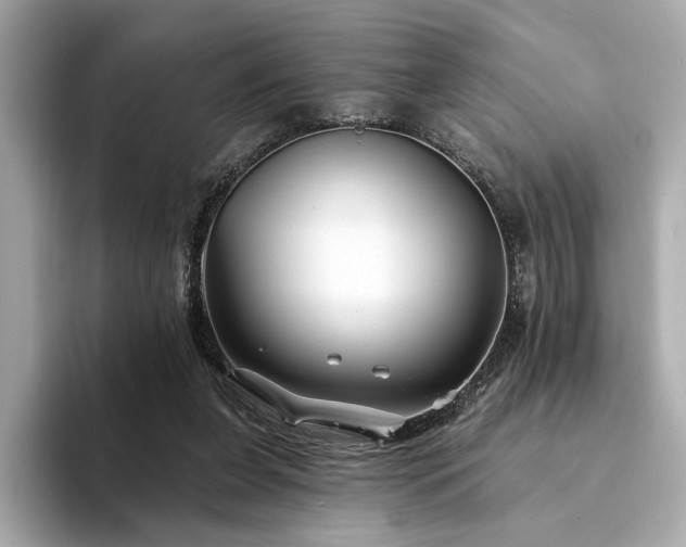 X0000094330255200711021415