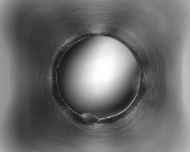 X0000094330256200711021415