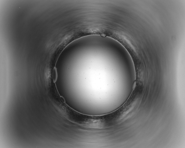 X0000094330260200711021415