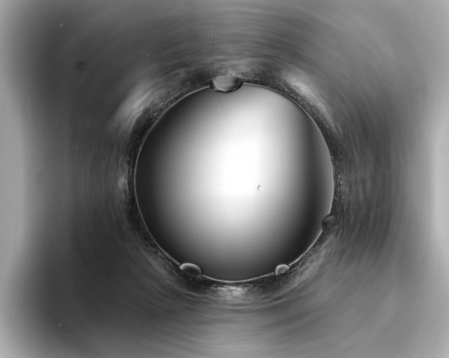 X0000094330265200711021415