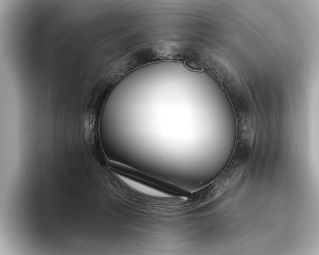 X0000094330275200711021415
