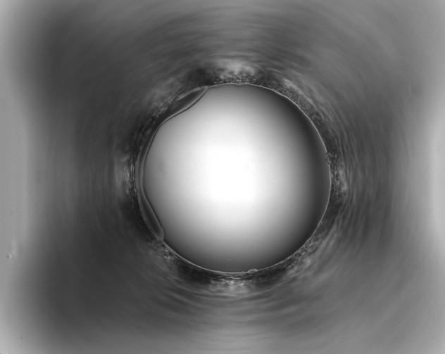 X0000094330276200711021415
