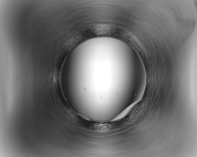 X0000094330277200711021415