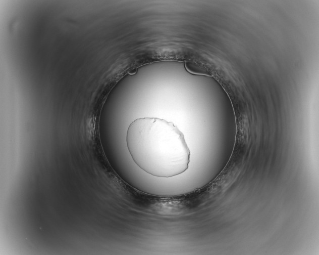X0000094330278200711021415