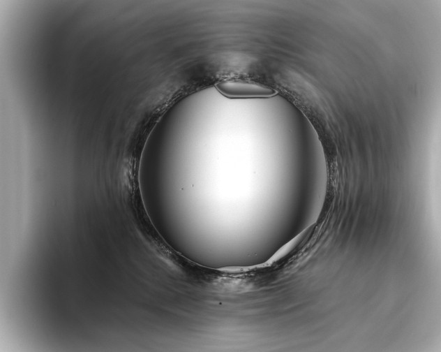 X0000094330280200711021415