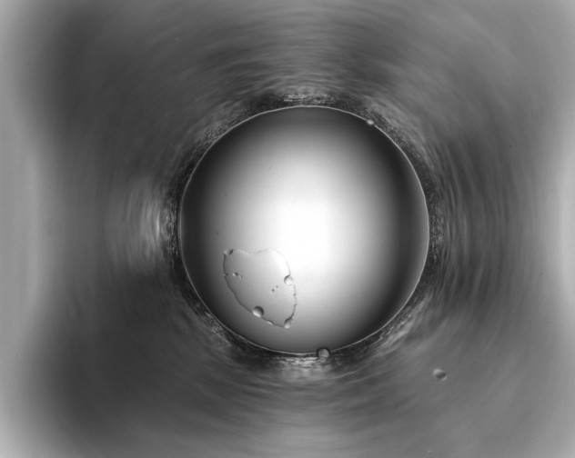 X0000094330281200711021415