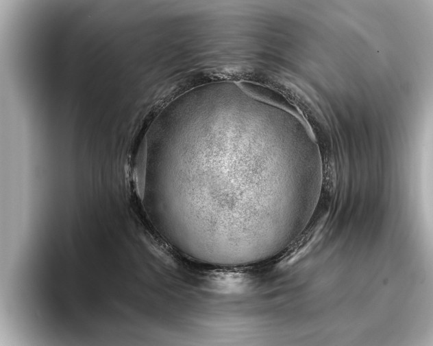 X0000094330284200711021415