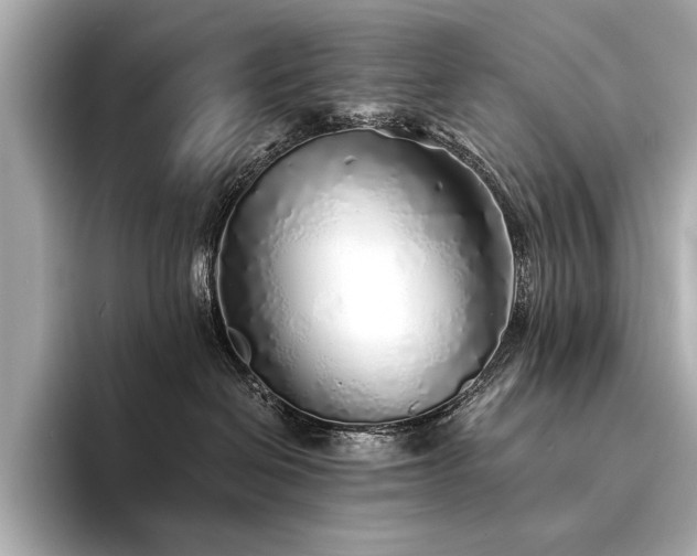 X0000094330286200711021415