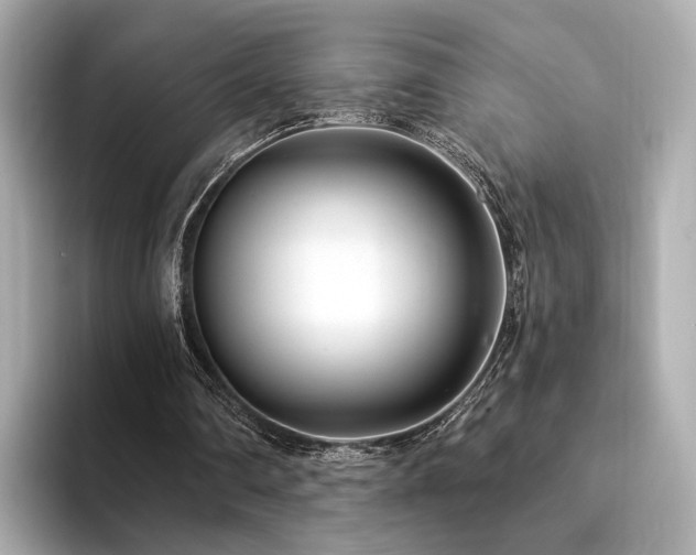 X0000094330290200711021415