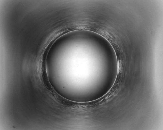 X0000094330291200711021415