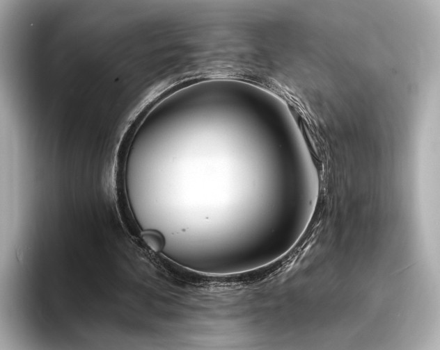 X0000094330292200711021415