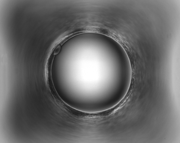 X0000094330294200711021415