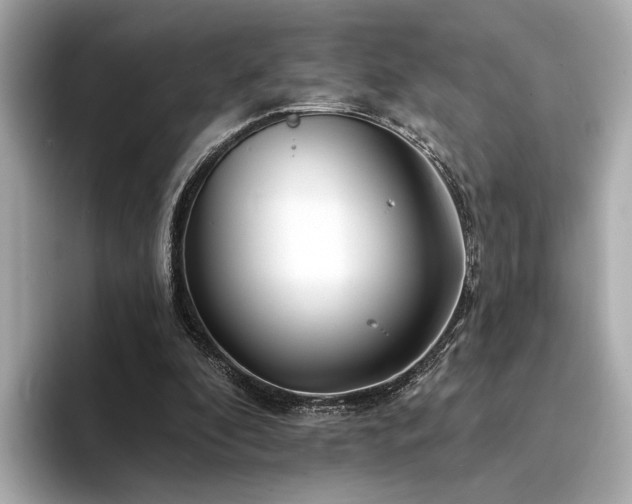 X0000094330296200711021415