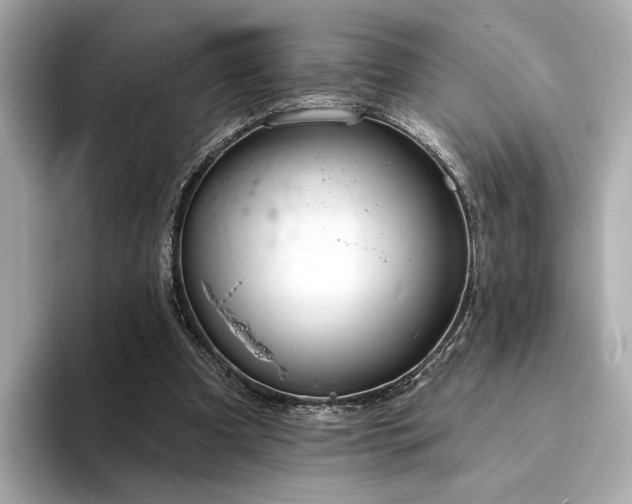 X0000094330297200711021415