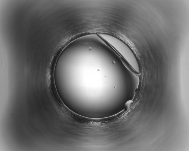 X0000094330298200711021415