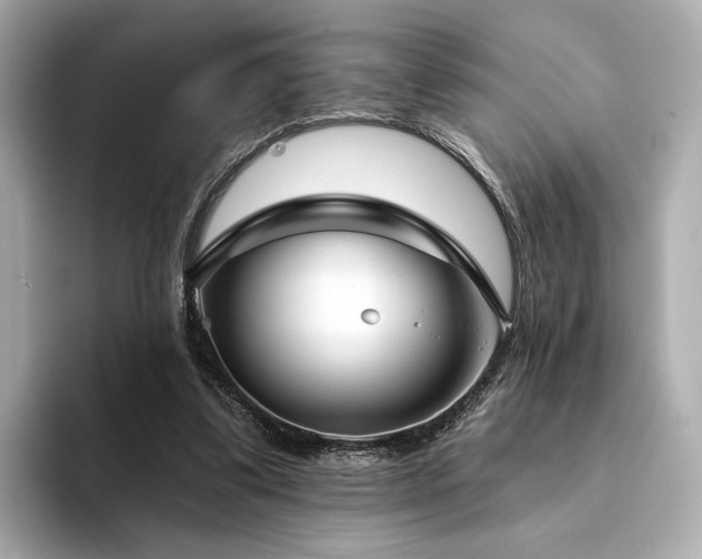 X0000094330299200711021415