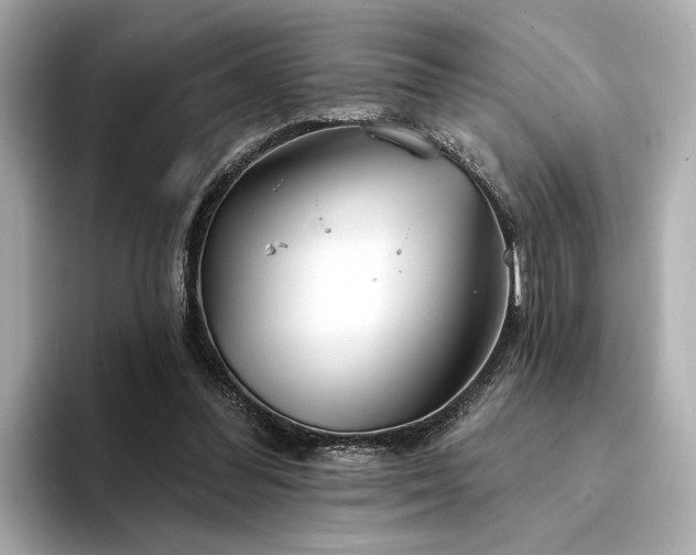 X0000094330300200711021415
