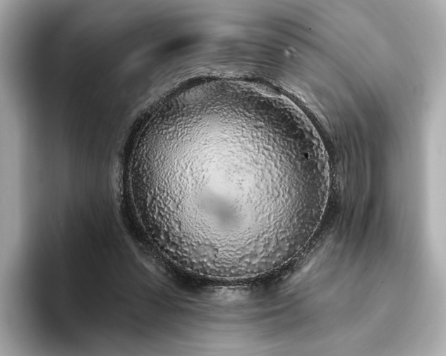 X0000094330303200711021415