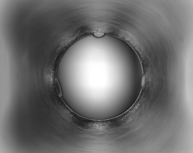 X0000094330305200711021415