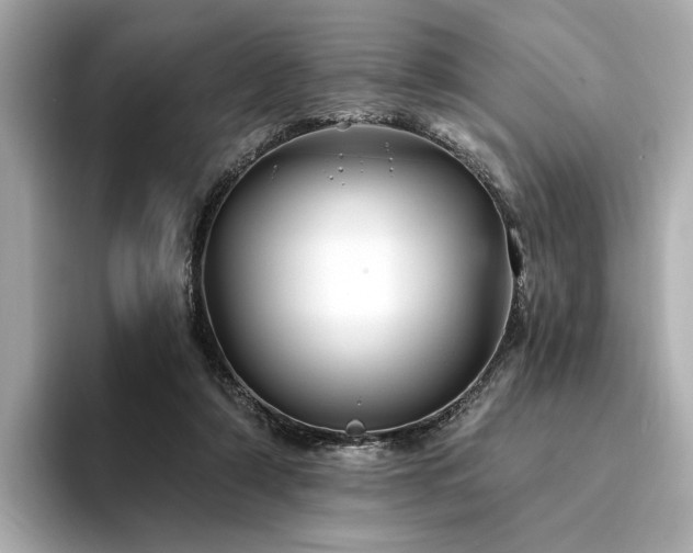 X0000094330306200711021415