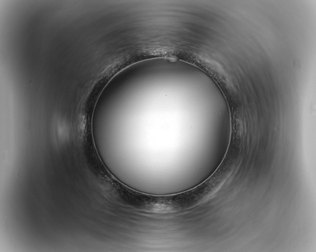 X0000094330308200711021415