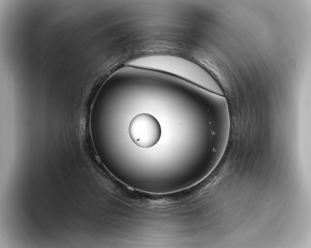 X0000094330309200711021415