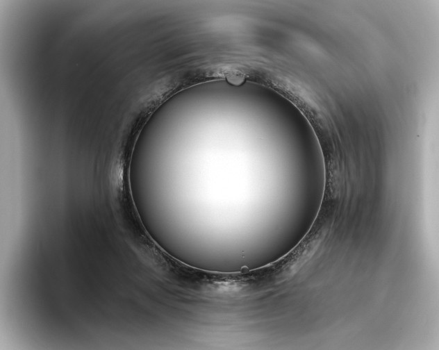 X0000094330310200711021415