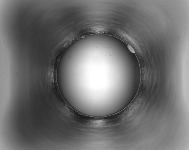 X0000094330313200711021414