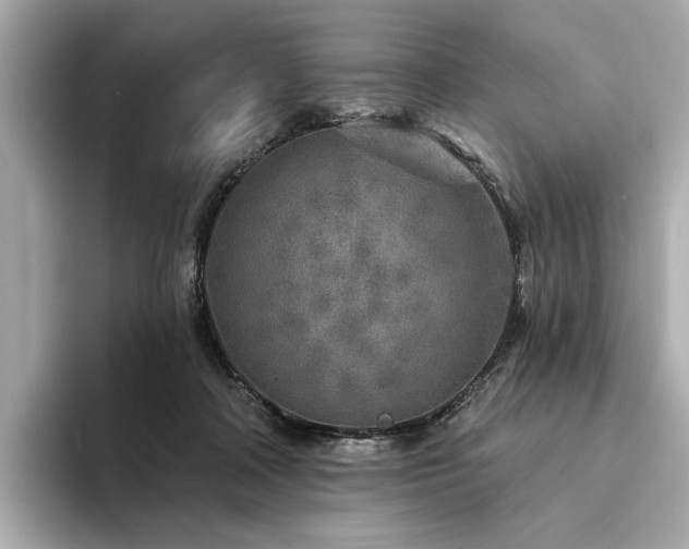 X0000094330314200711021414