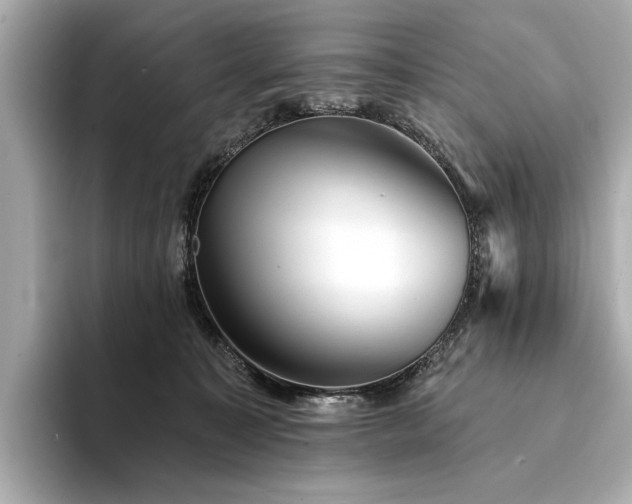 X0000094330323200711021414