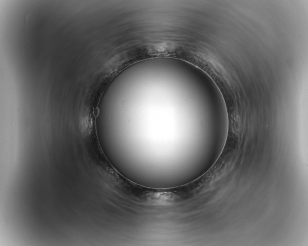X0000094330324200711021414