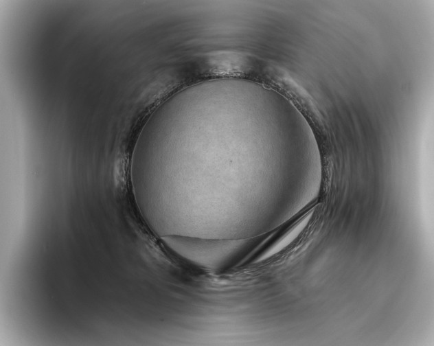 X0000094330325200711021414