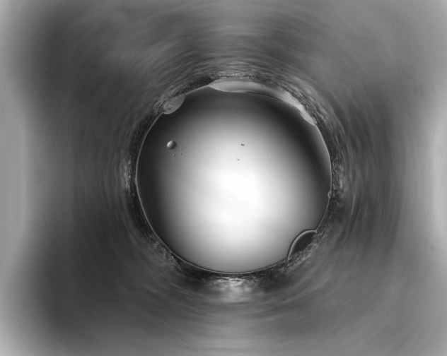 X0000094330326200711021414