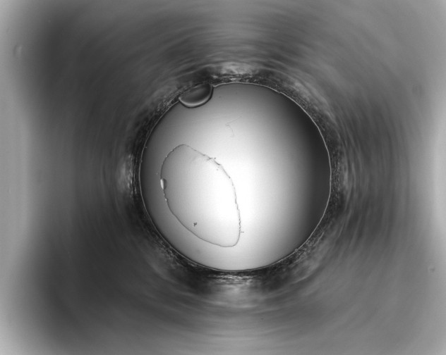 X0000094330328200711021414