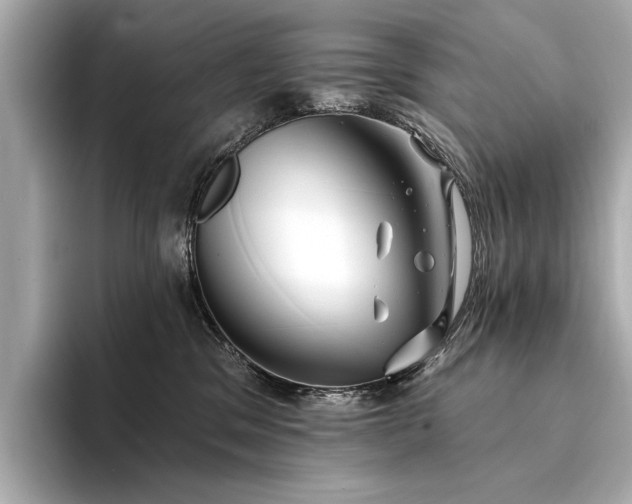 X0000094330329200711021414