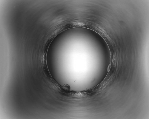 X0000094330330200711021414