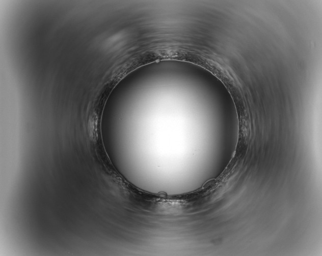 X0000094330332200711021414