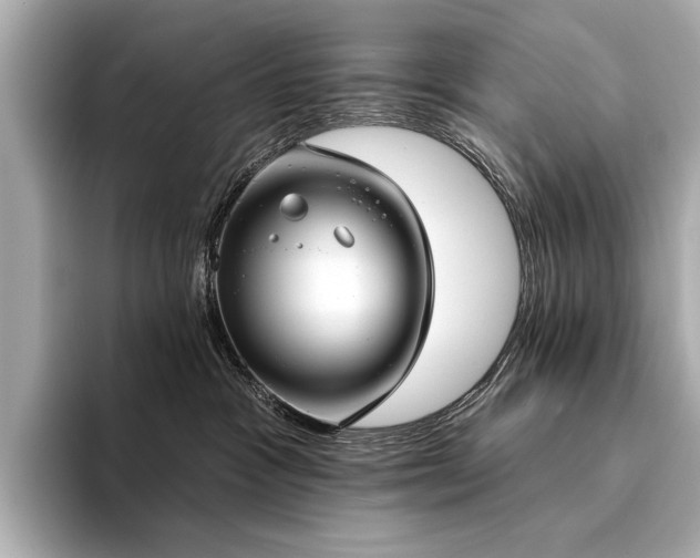 X0000094330333200711021414