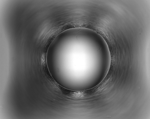 X0000094330335200711021414