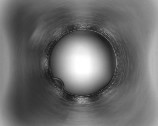 X0000094330336200711021414