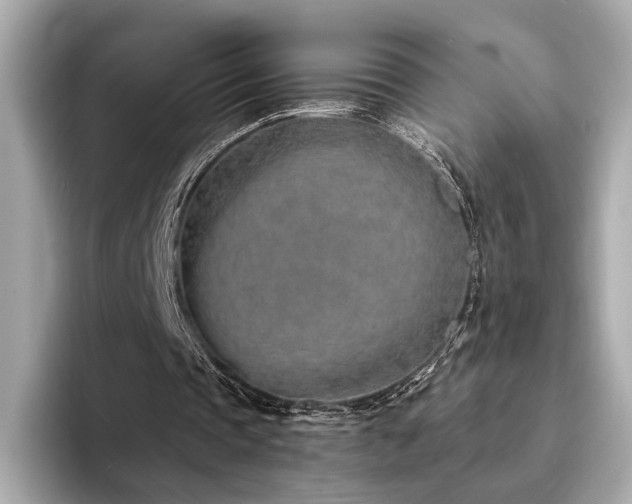 X0000094330337200711021414